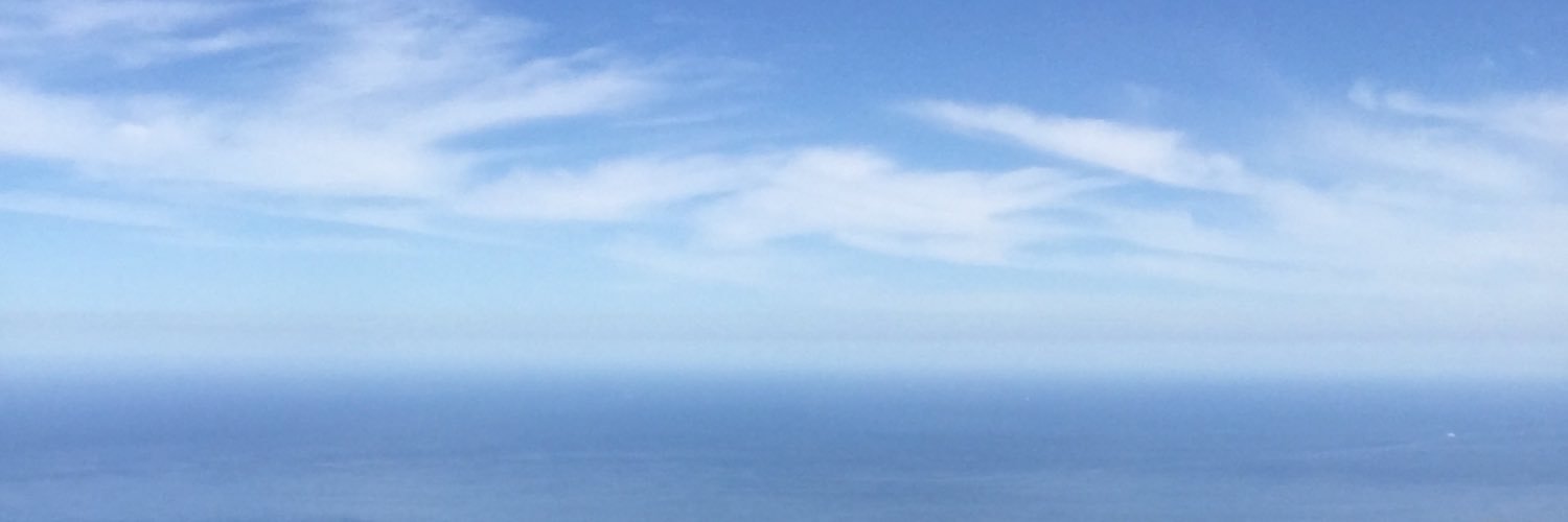 zenzelej's profile banner image