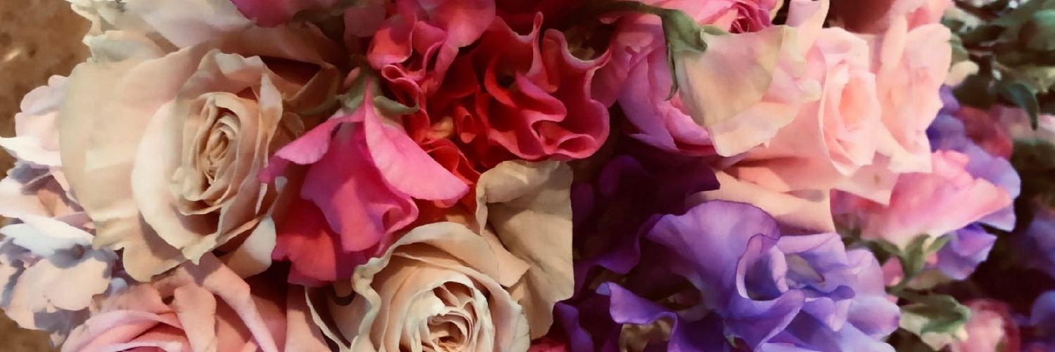 Meelqiroga's profile banner image