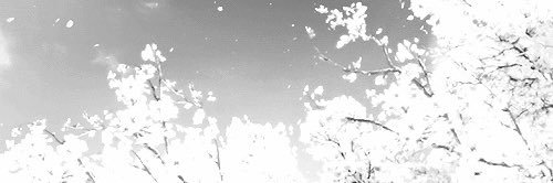 c4tnat's profile banner image