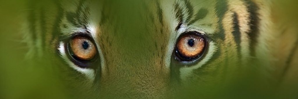 FerrellSpeaks's profile banner image