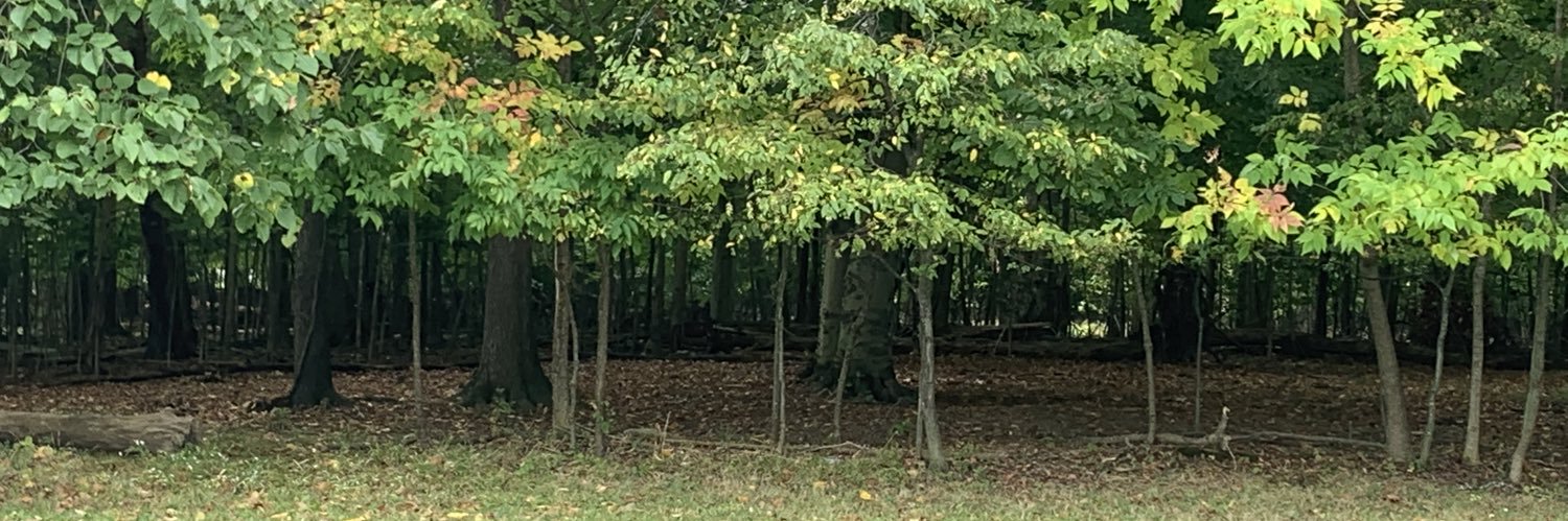 DoanWriter's profile banner image