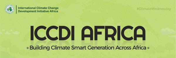 ICCDI AFRICA Profile Banner