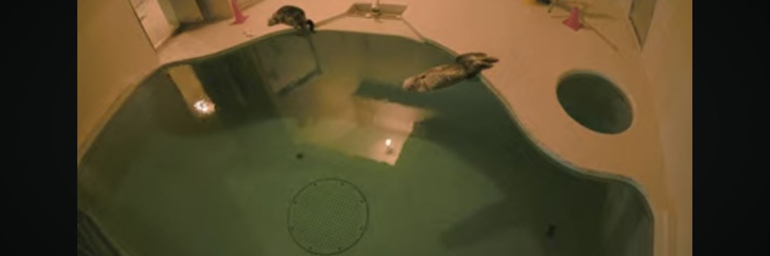 じゅに＠近現代芸術史 banner