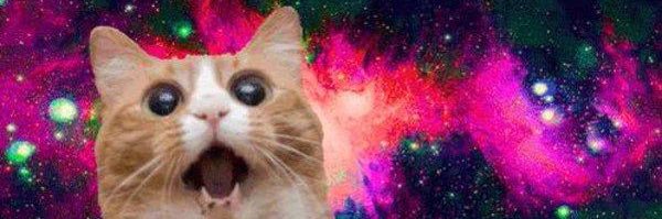 Dokuso_cat's profile banner image