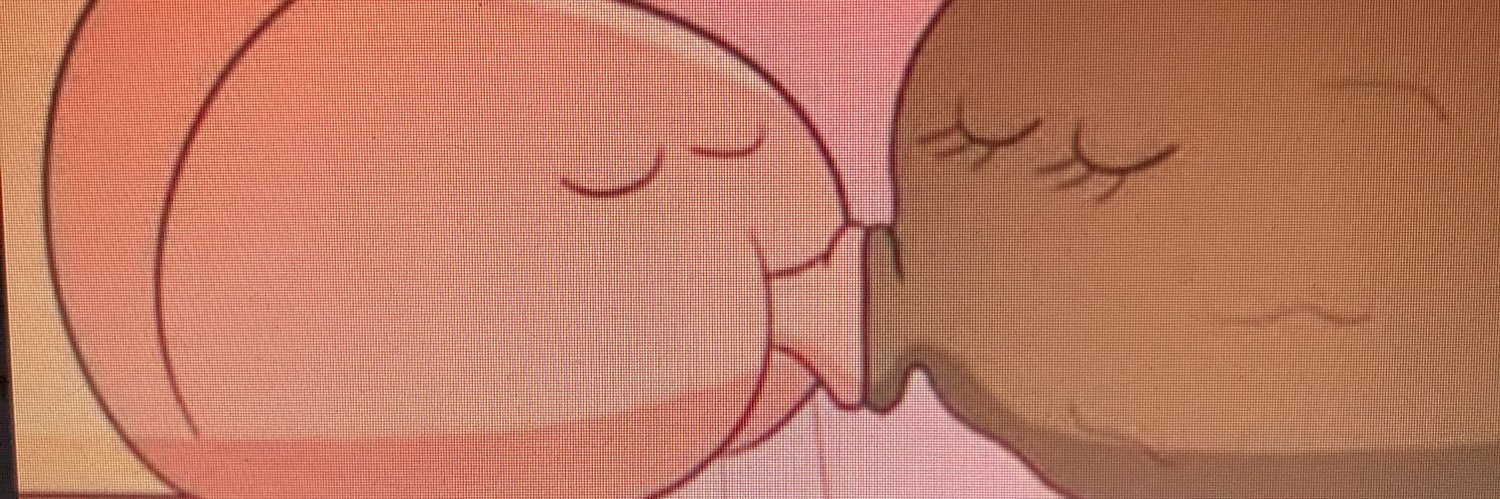 garcheuru's profile banner image