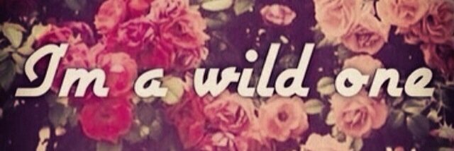 Jessica Vigil banner