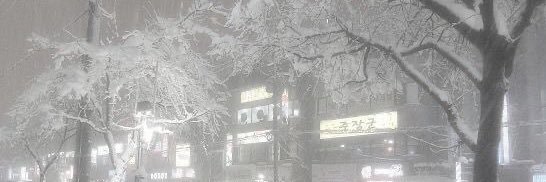 ☆ frankiee ☆ banner