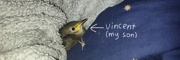 melenthropy Profile Banner