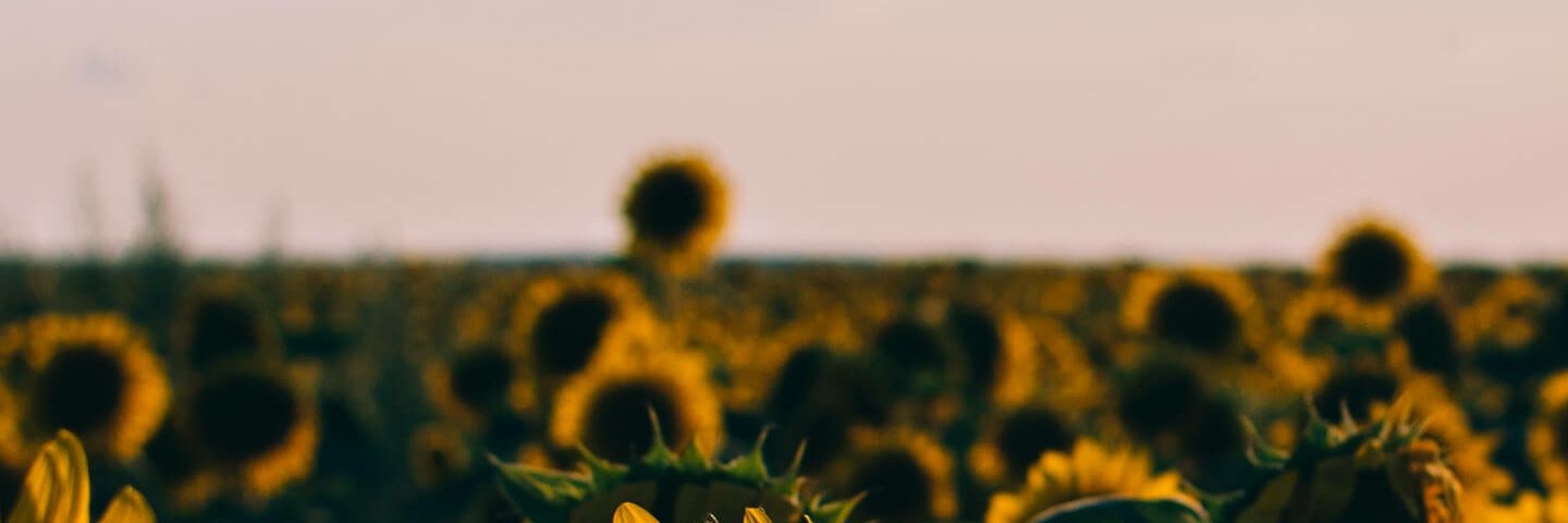 krhixna's profile banner image