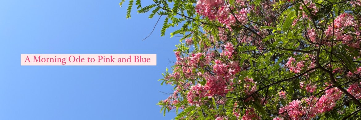 kanchisood's profile banner image