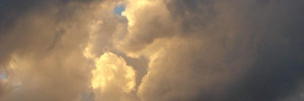 NerisEko Profile Banner