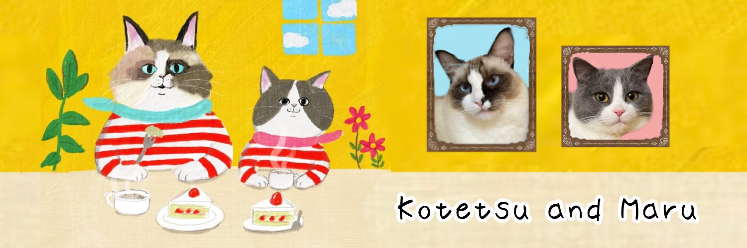 コテまる banner