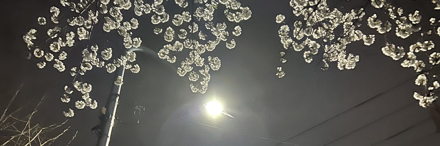 P4radox_om1's profile banner image