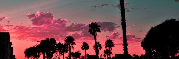 ynaaaaavgt's profile banner image