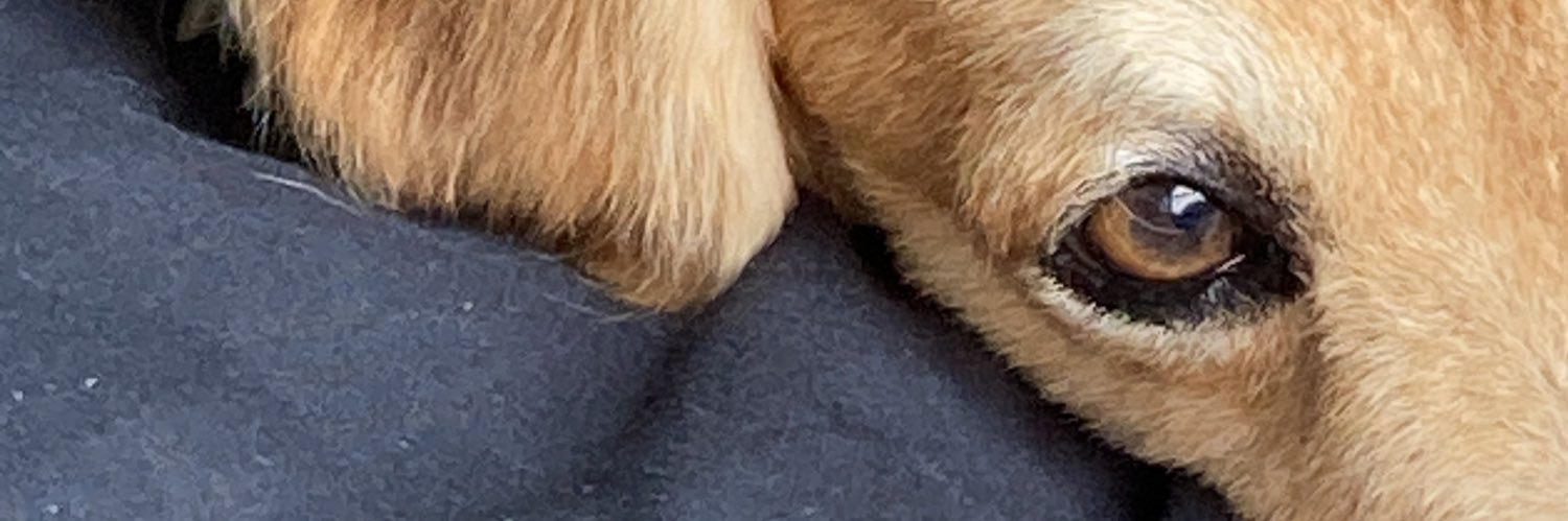 graciee7_'s profile banner image