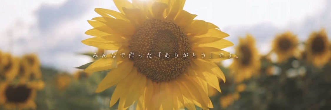 yellow__418's profile banner image