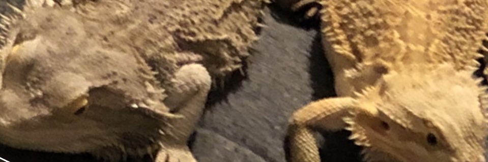 k_flesher83's profile banner image