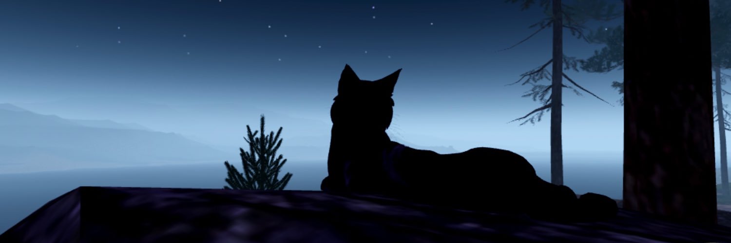 beetlekhix's profile banner image