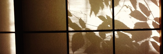 Coley_EJ's profile banner image