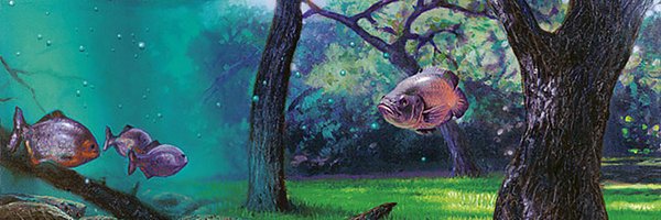 reid_stradling Profile Banner