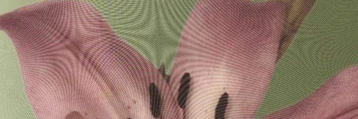 jenminrush's profile banner image