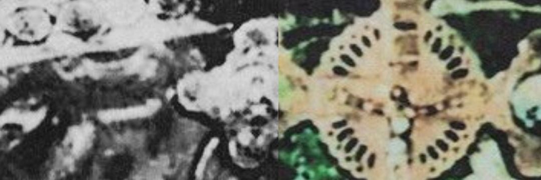 idk banner