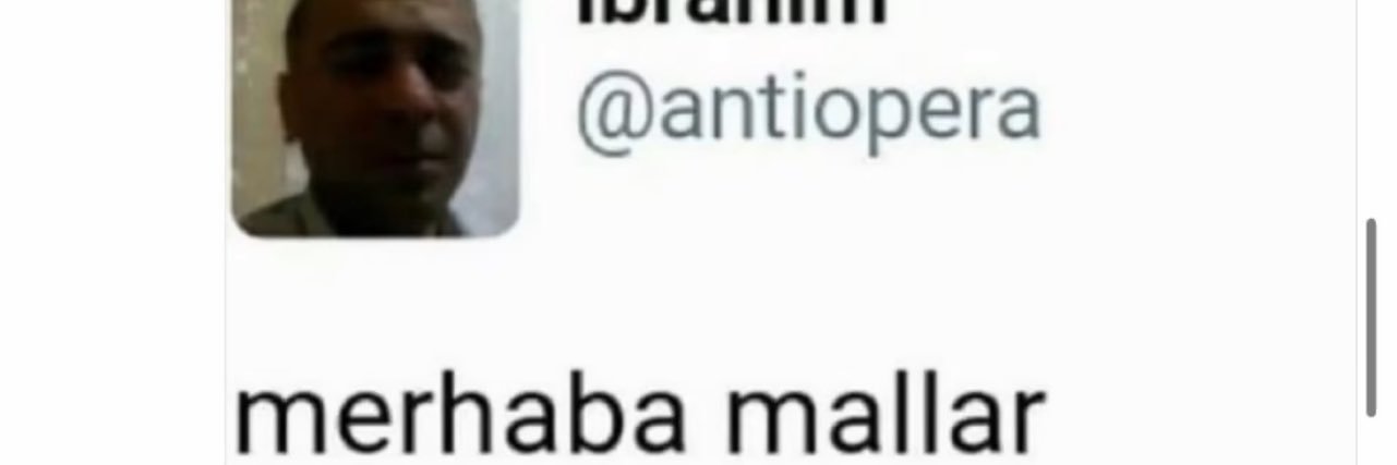Rabidea_'s profile banner image