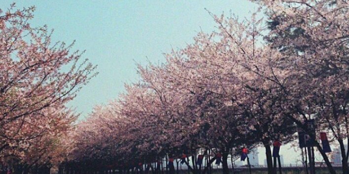 atqiaaa's profile banner image