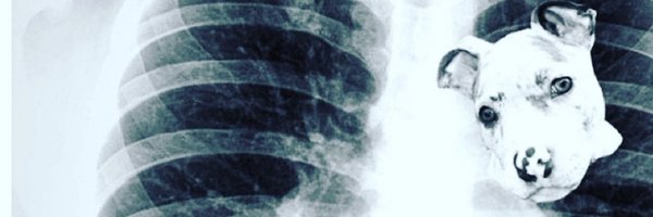 dwayle823 Profile Banner