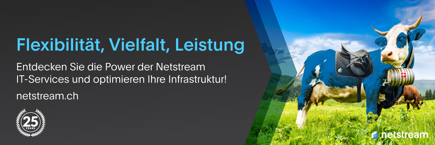 Netstream AG banner