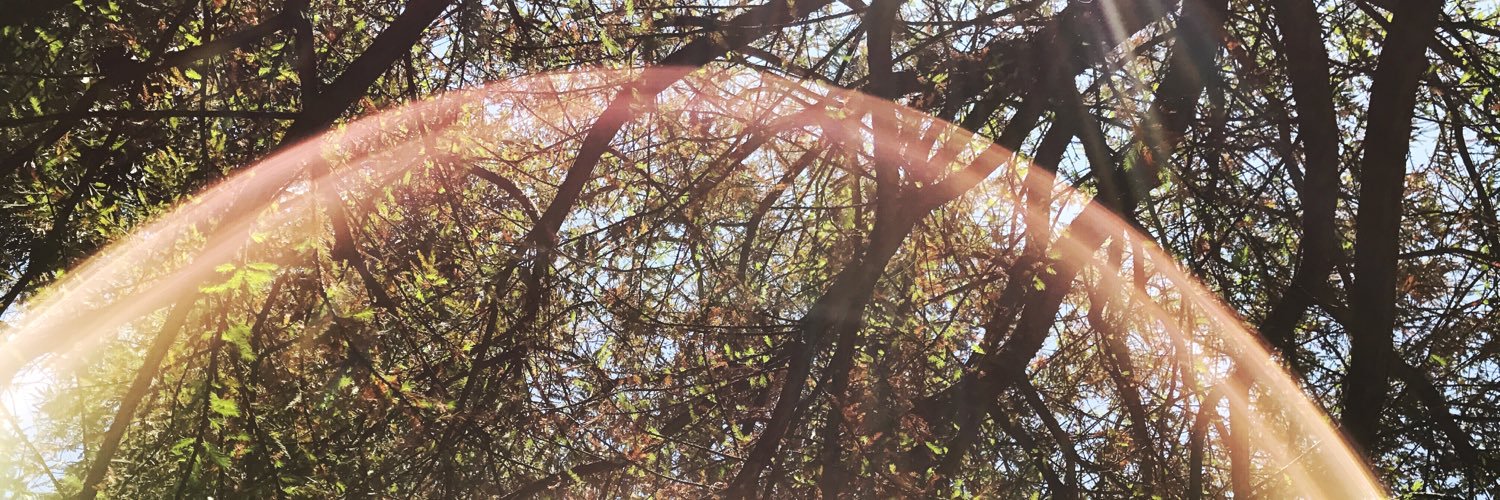 JuliaCon 🇵🇸 banner