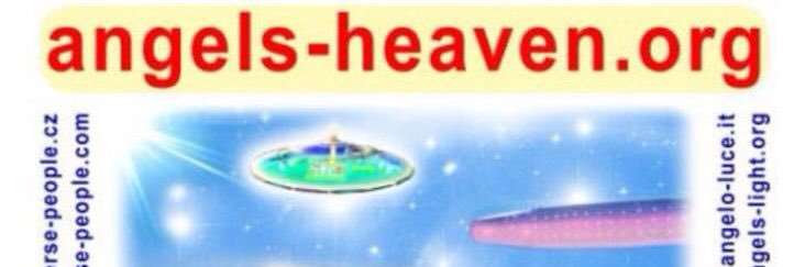 salsa彡 banner