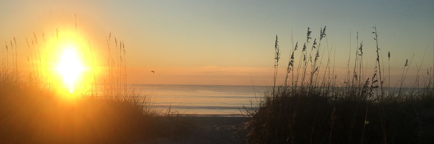 nybbad's profile banner image