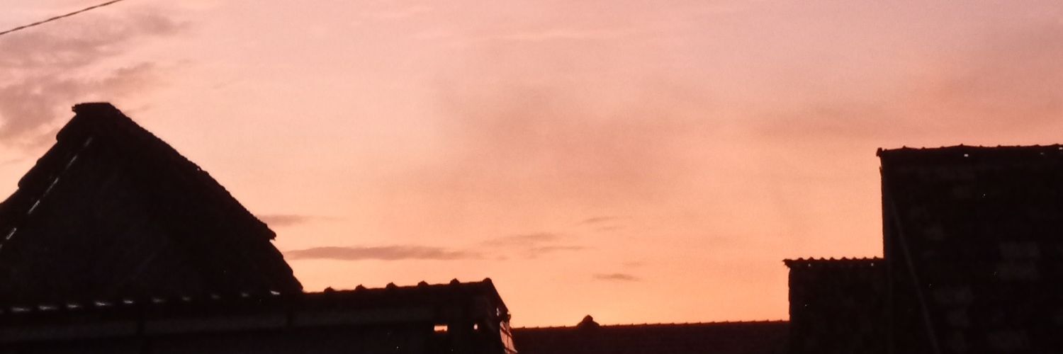 semutcokelat's profile banner image