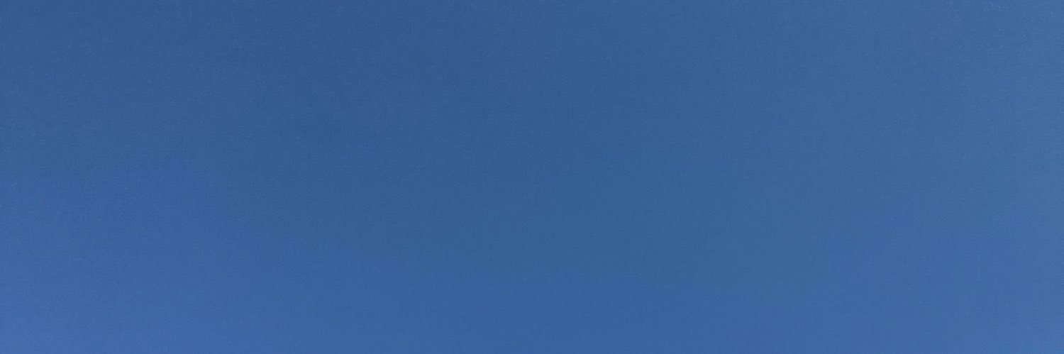 🌸 banner