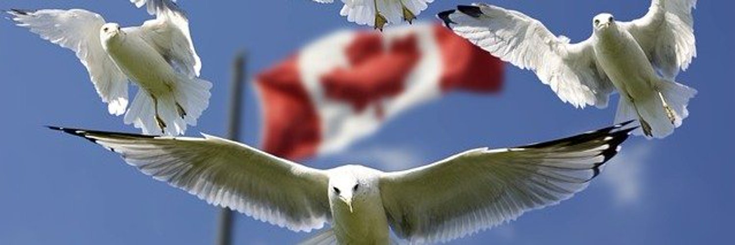 online casino canada