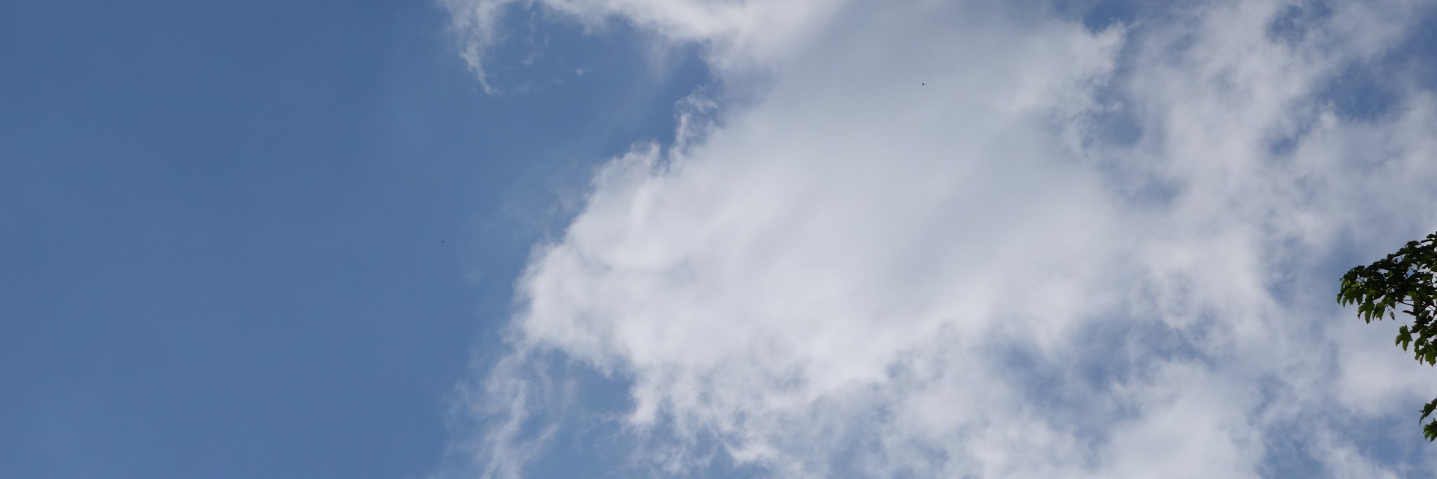 Luwte's profile banner image