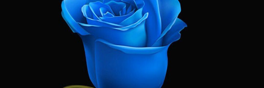 🌹Alexa🌹🌹⛔:DM ⛔kadrun⛔bokep👍&⛔Tag GA👍😊 banner