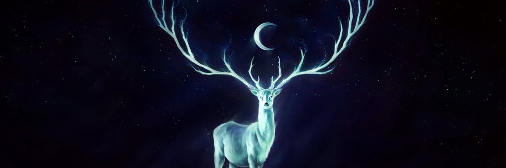 Lil Spooky⚡ banner