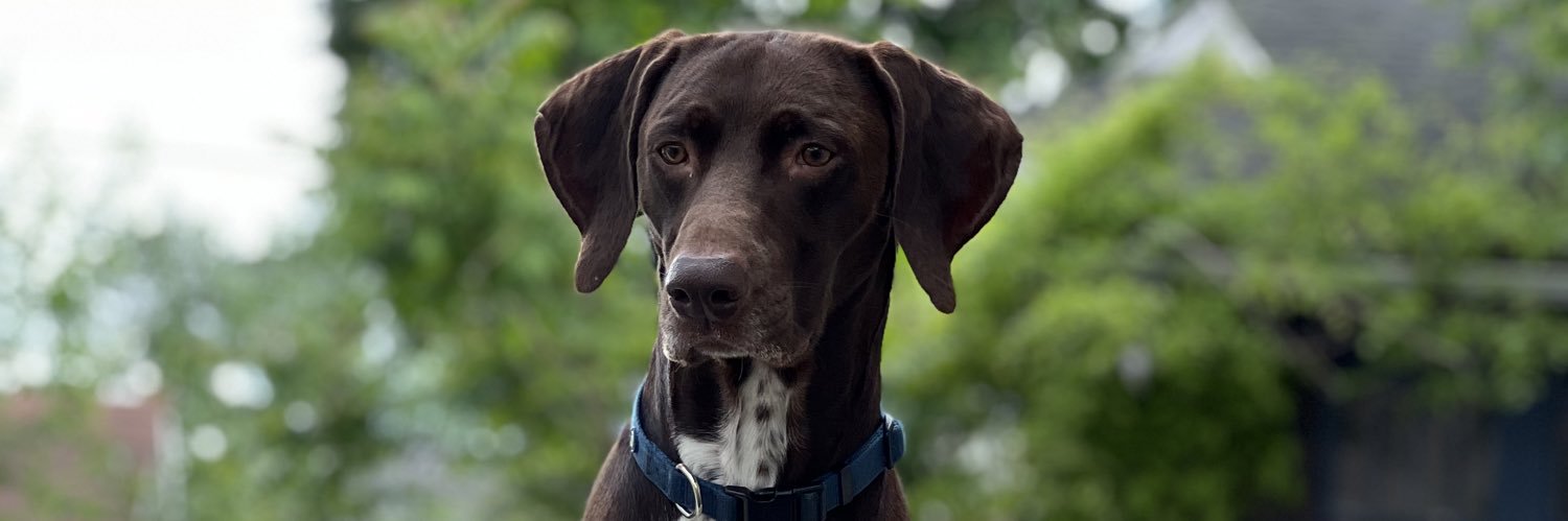 John Houston 🇺🇸 banner