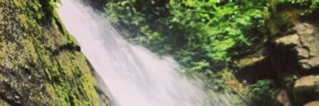 TriHarto_'s profile banner image