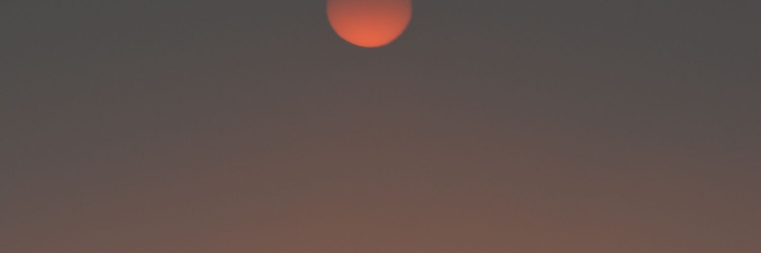 sngh_anml's profile banner image