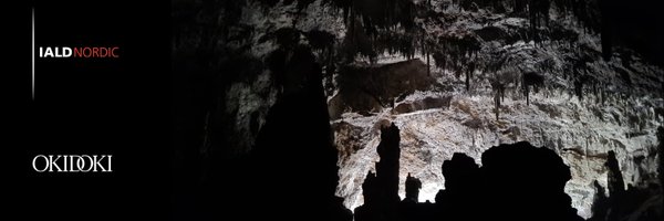 passoluce Profile Banner