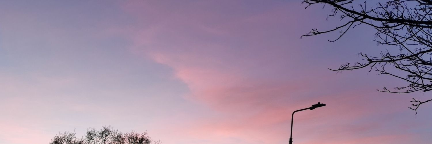 remybanshee's profile banner image