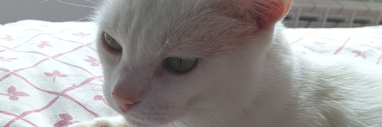 Nutría || 🧚🏻‍♀️ banner