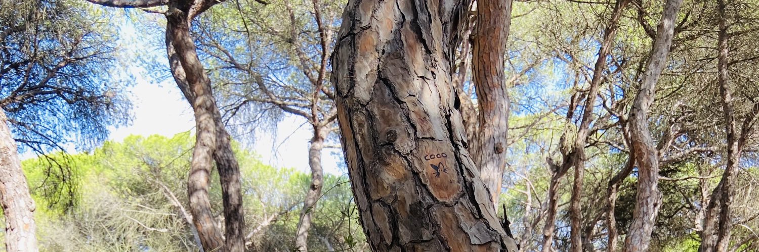 M A R T A 🌜 banner