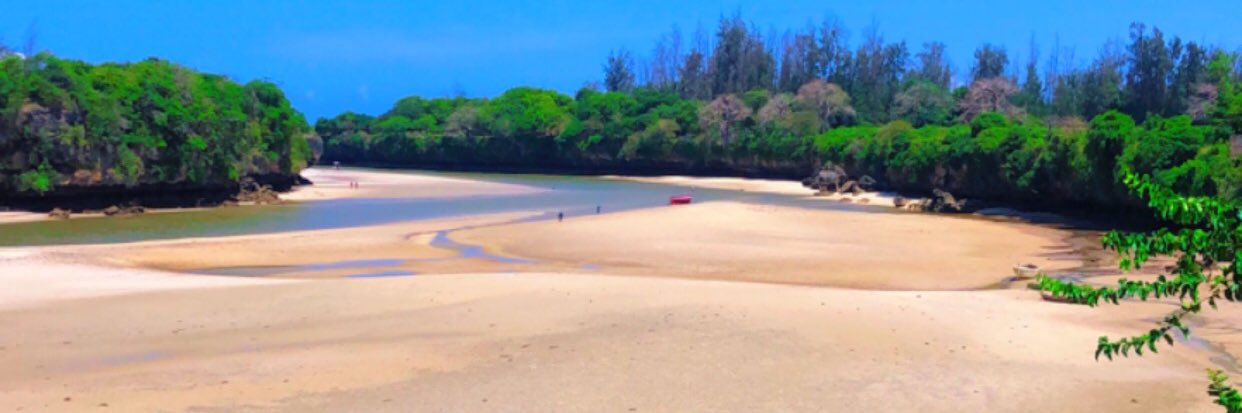 msalimoha's profile banner image