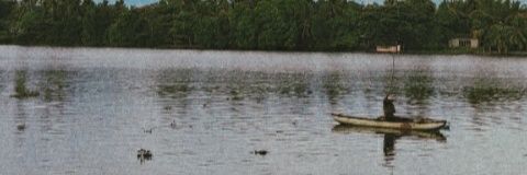 upsidedown_om's profile banner image