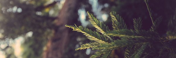 alextes Profile Banner