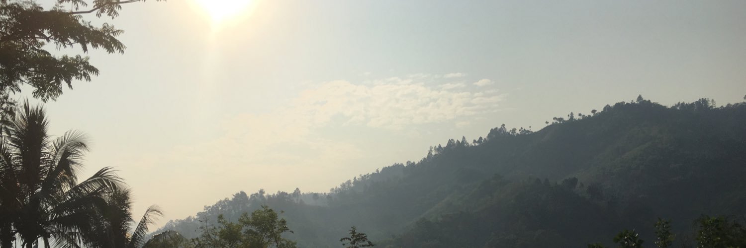 ickle_carly's profile banner image